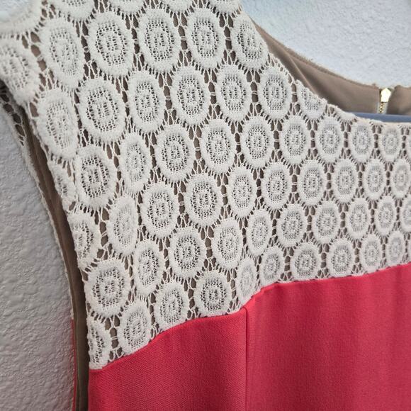 Sandra Darren Women's Sleeveless Midi Dress Pink, Tan, White Crochet  Size 20W - Picture 3 of 9